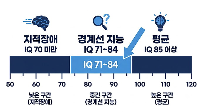 경계선지능청년 취업지원 IQ 71~84 구간 인포그래픽